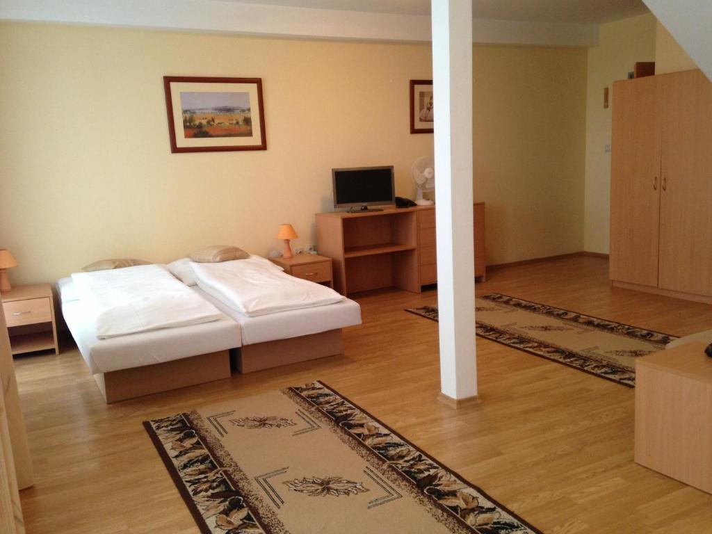 Penzion Anton Teplicka nad Vahom Room photo